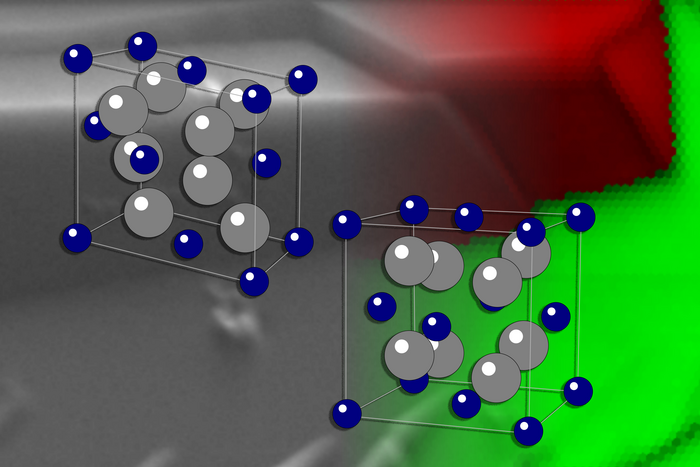 Shape Memory Alloys