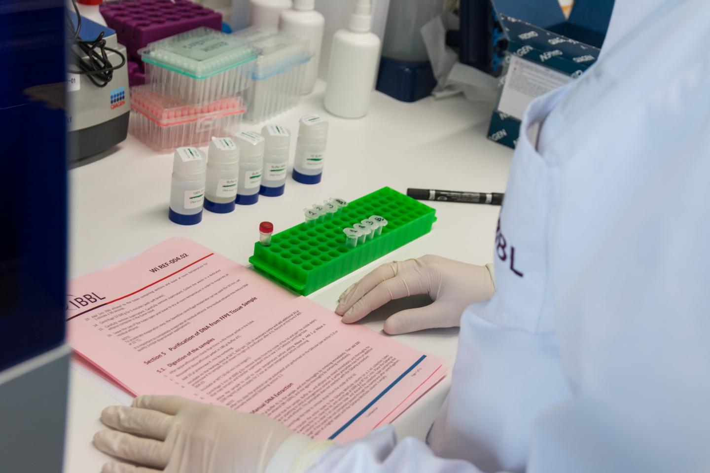 Laboratory Work at IBBL