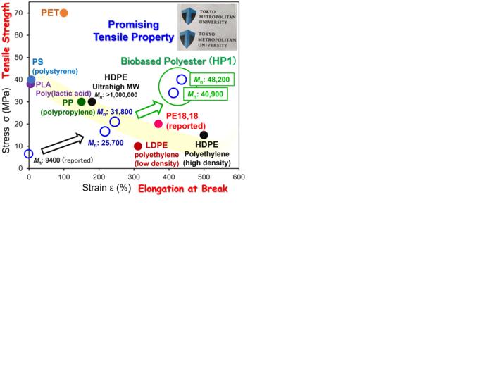 Promising Mechanical Properties in the Present Biobased Polyesters Beyond Polyethylene