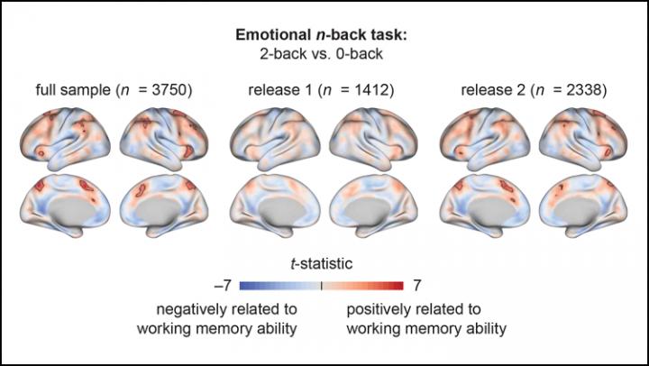 A Child's Brain Activity Reveals Their Memory Ability