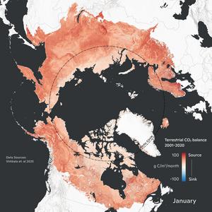 Terrestrial CO2 balance in the Arctic-boreal zone, 2001-2020