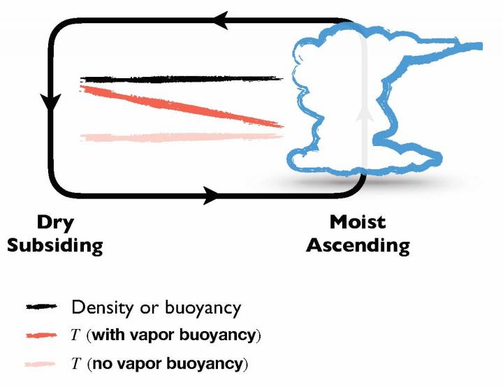 Vapor buoyancy graphic image eurekalert science news releases