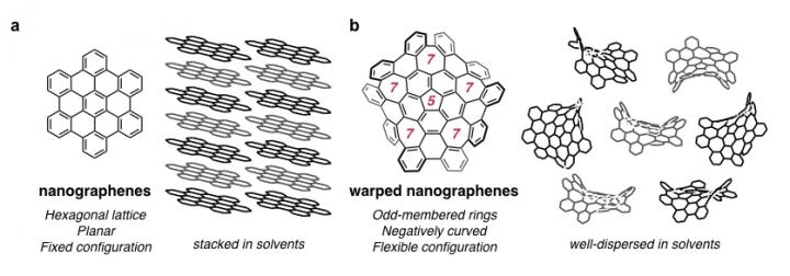 Structure and Properties of Nanographenes and Warped Nanographenes