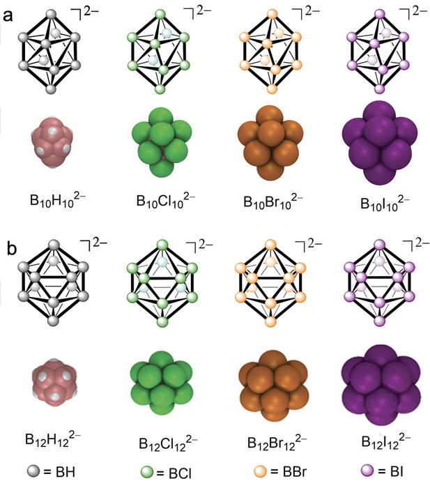 First set of rational design principles for chaotropic membrane transporters