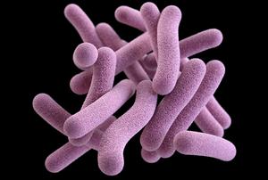 Drug-resistant tuberculosis responds rapidly - Vimarsana News