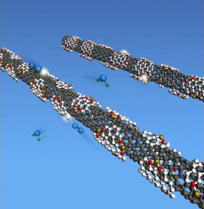 Carbon Nanotube Scheme