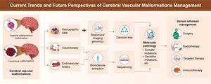 CVMs management based on imaging genomics and liquid biopsy.