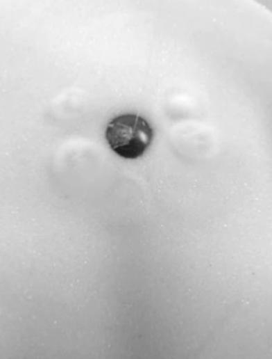 Fig. 3 Sphere Sinking in Apparently Fixed Bed