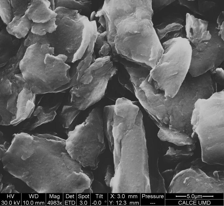 SEM of anode