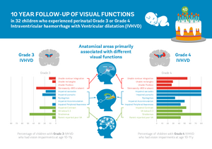 A graphic image showing the ten-year follow up of visual functions
