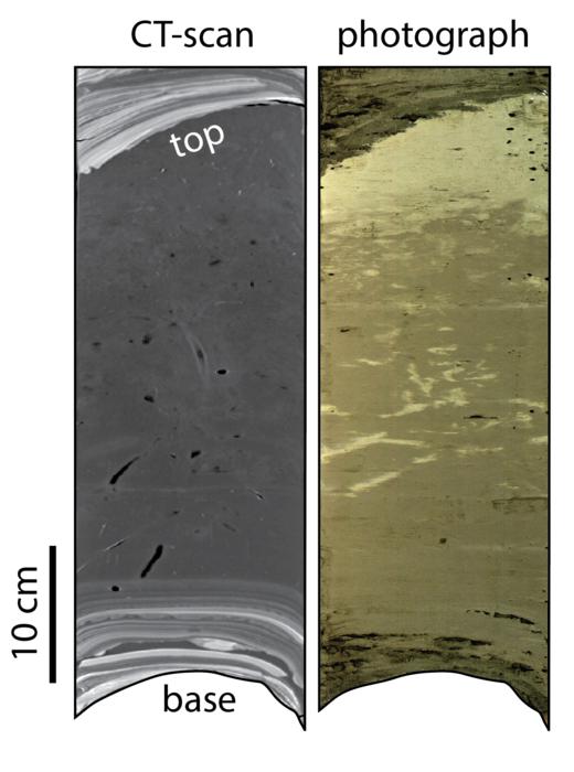 Turbidite