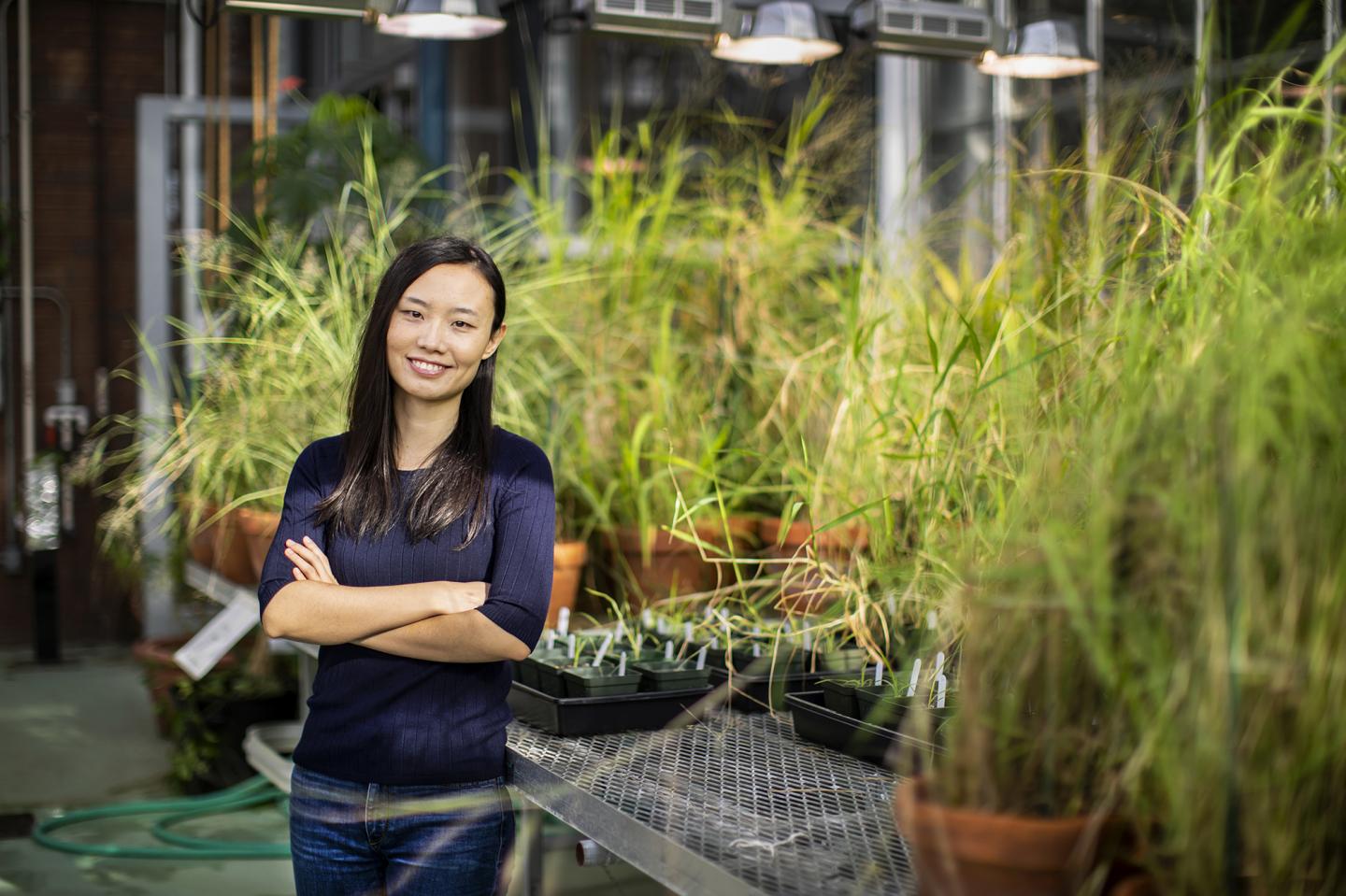 The Emergence of a New Type of Photosynthesis