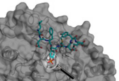 Substrate Search Made Easy