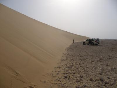 Sand Dunes in Qatar