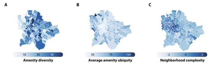 Components of neighborhood complexity