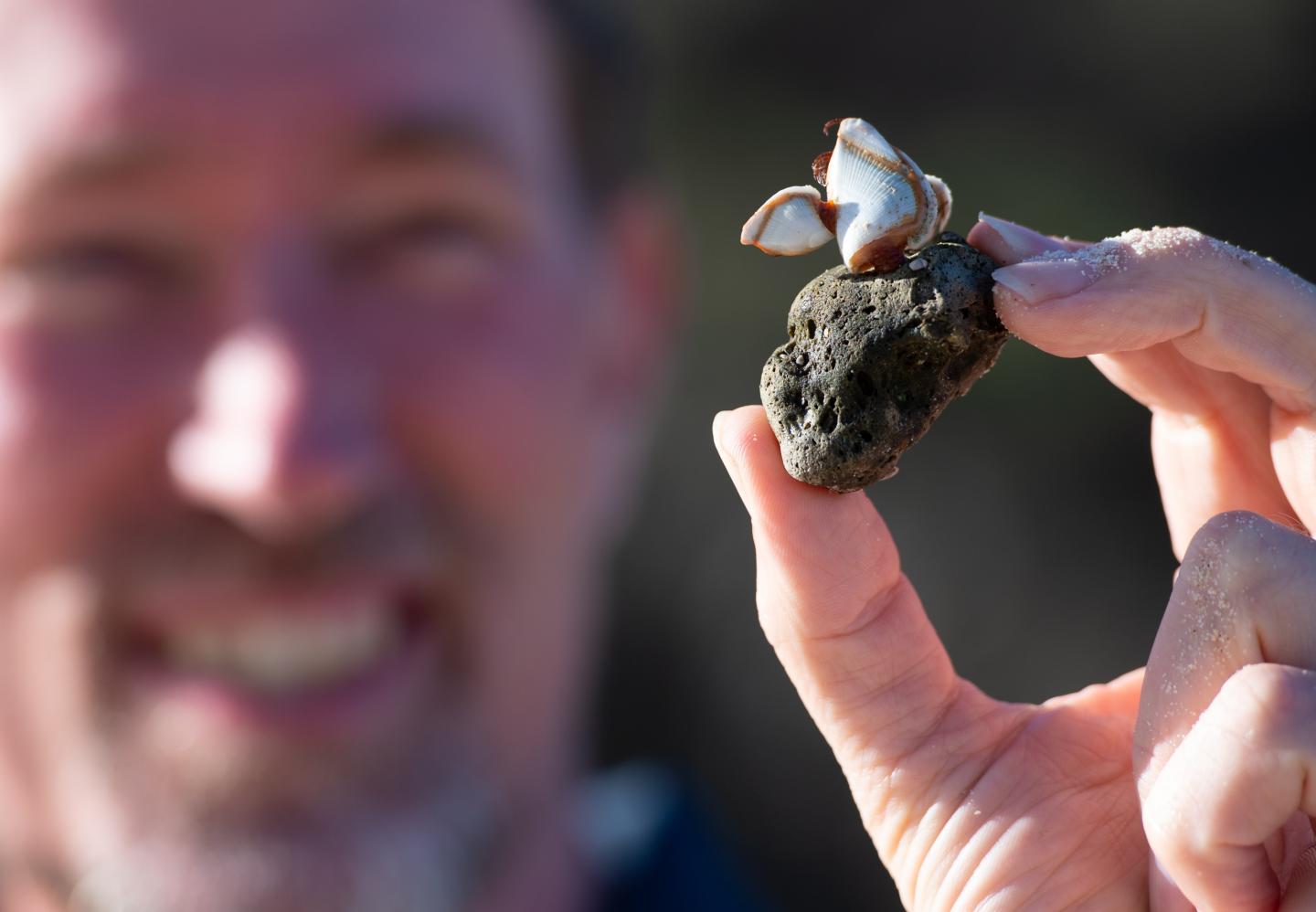 Associate Professor Scott Bryan