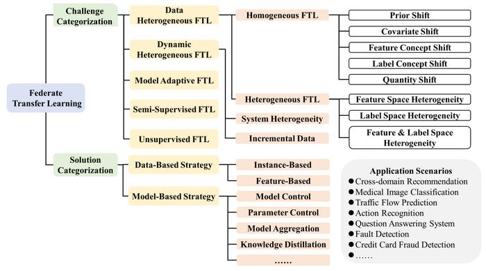 Categorizations of Federated Transfer Learning