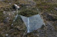 Arctic Getting Greener (2 of 2)