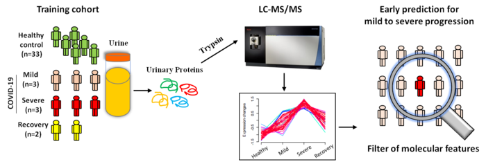 URINE PROTEOMICS COULD BE USED TO PREDICT WHICH CASES OF MILD COVID-19 ARE LIKELY TO BECOME MORE SEVERE.