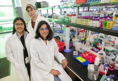 Aindrila Mukhopadhyay, Eric Luning and Lara Rajeev, Berkeley Lab