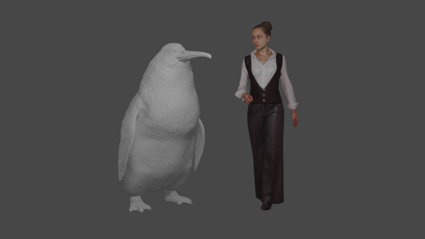 Model of Penguin