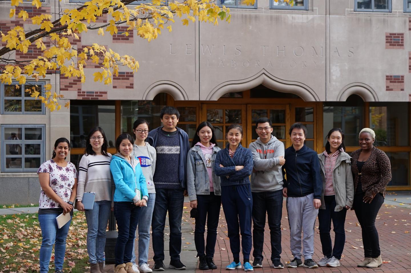 Nieng Yan research group at Princeton University