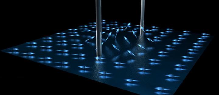 Walls with Strings in Half Quantum Vortices