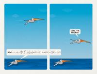 Illustration: the Math behind Pelican Flight