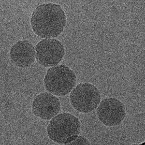 FuOXP-siRNA nanoparticles