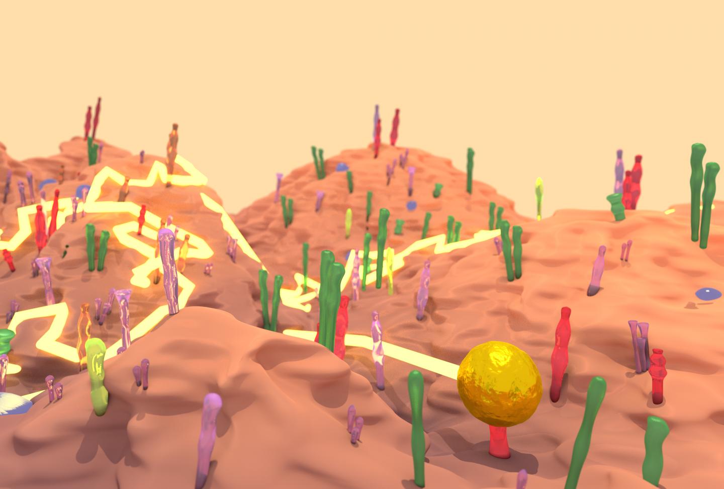 New Technique Tracks Individual Protein Movement on Live Cells