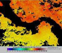 Sea Surface Temperatures, September 2010