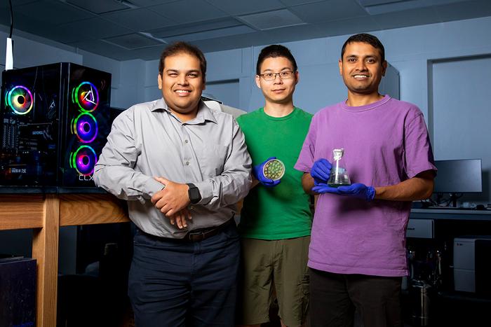 Inspired by the evolution of some of the earliest lifeforms, University of Illinois professor Angad Mehta, left, Yang-Le Gao and Bidhan De led a proof-of-concept study verifying that natural metabolic processes within cyanobacteria-yeast hybrids can be bi