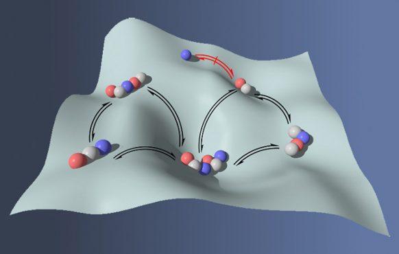 Self-selection of Peptide Nanostructures