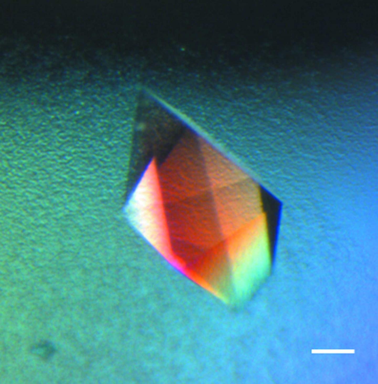 Human Macrophage Migration Inhibitory Factor (MIF) Crystal