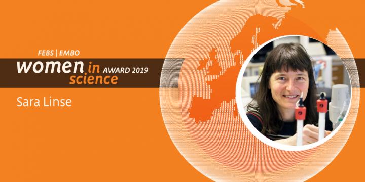 FEBS|EMBO Women in Science Award 2019: Sara Linse