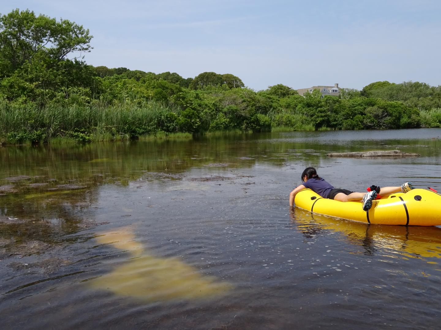 Bloom of Sulfide-Oxidizing Phototrophs in Brackish Lagoon