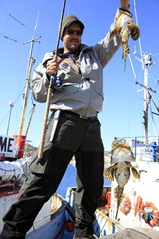 Shorthorn Sculpins Caught off Disko Island in Greenland