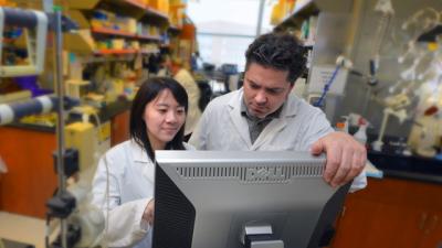 Dr. Tracy L. McGaha, Medical College of Georgia at Georgia Regents University