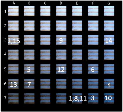Which Piece Resembles Your Color Perception for #theDress Image?