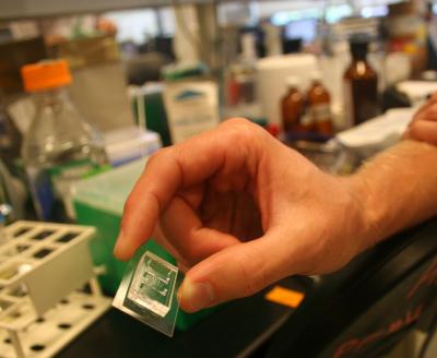 Genetic Clock Makers at UC San Diego Publish Their "Timepiece" in Nature (2 of 2)