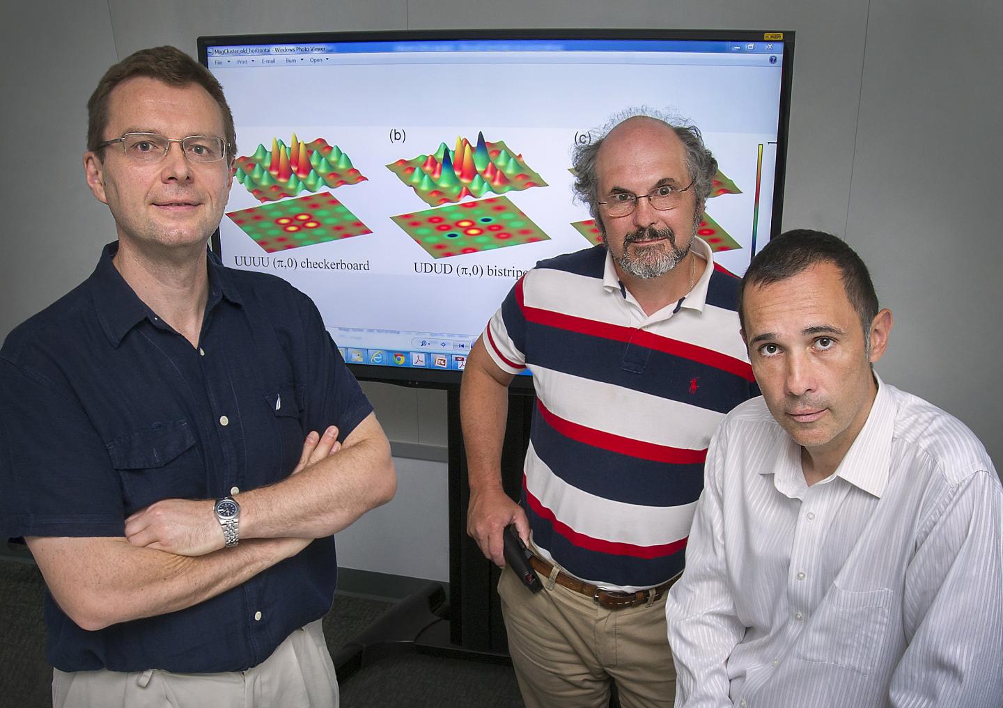 Igor Zaliznyak, Alexei Tsvelik, and Cedomir Petrovic