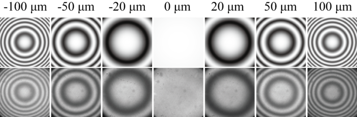 Figure 3 | Theoretical and experimental results of interference patterns