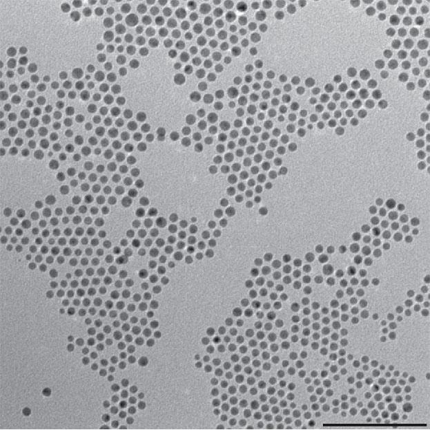 Gold/Copper Nanoparticles