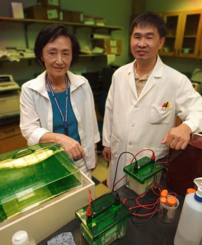 Drs. Dorothy Tuan and Wenhu Pi, Medical College of Georgia (1 of 2)