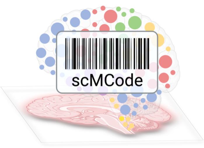 scMCodes diagram