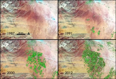 NASA Sees Fields of Green Spring up in Saudi Arabia