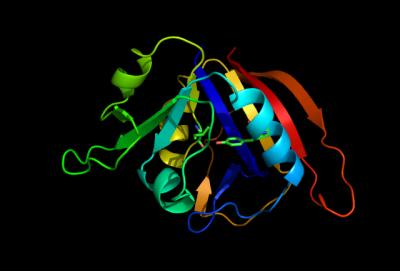 Visualization of the Top-Scoring Mutant Structure