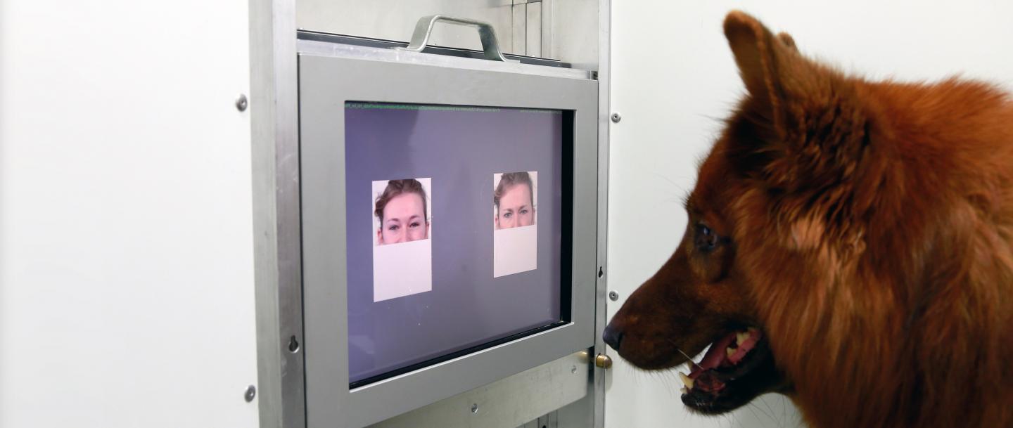 Touchscreen Experiment