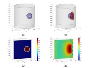 3D plots of cancerous tumor detection