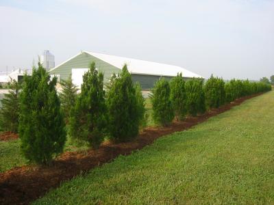 Poultry Farm Emissions